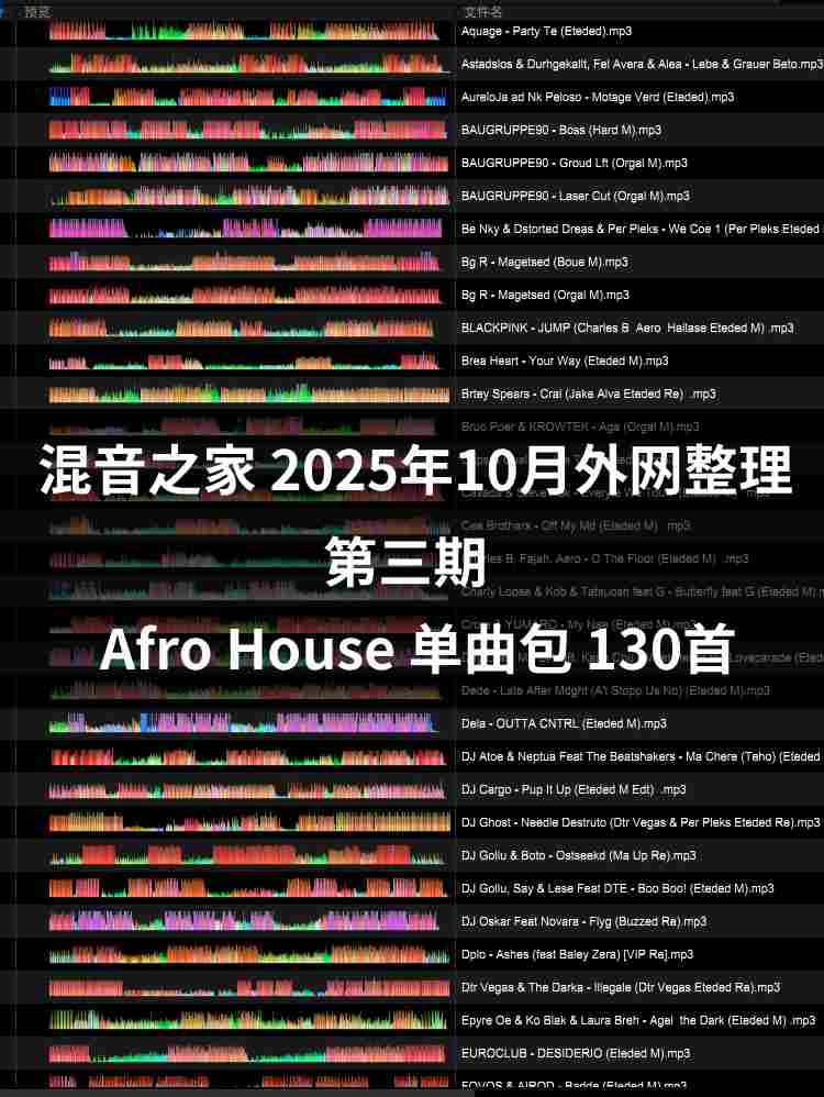 混音之家10月外网整理Afro House 第三期 130首专业打碟音乐包